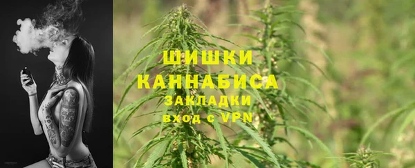 тгк Верея