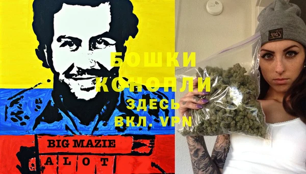 соль курить ск Бородино