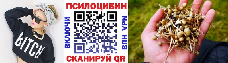 Галлюциногенные грибы Cubensis  Давлеканово 
