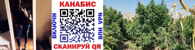 Каннабис MAZAR  Давлеканово 